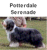 Potterdale Serenade, Mutter von Harmony